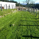 Lugar Del Pazo Nª9-albeos Сasa de vacaciones Albeos